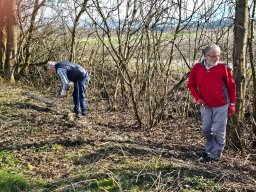 whatsapp image 2026-03-19 at 18.09.41 2